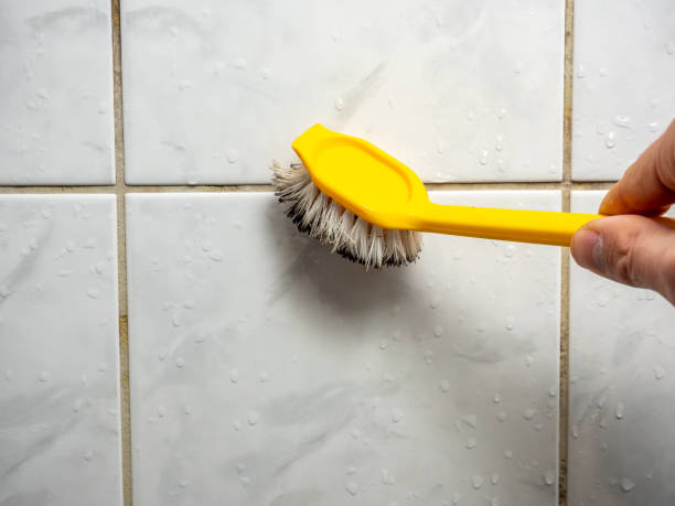 Best Water Damage Restoration  in Fox Lake Hls, IL