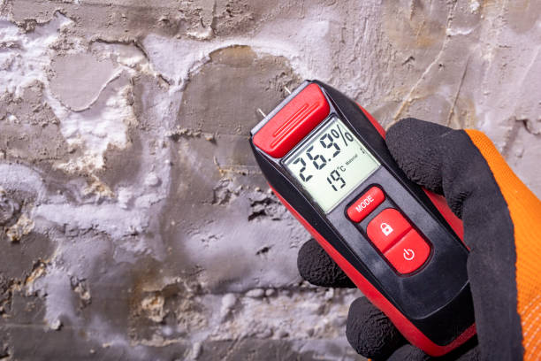 Best Mold Remediation  in Fox Lake Hls, IL