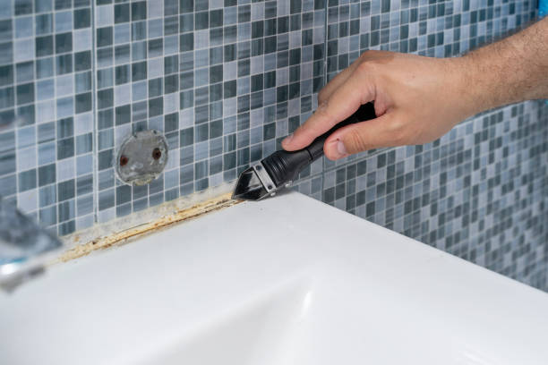 Mold Testing and Removal in Fox Lake Hills, IL