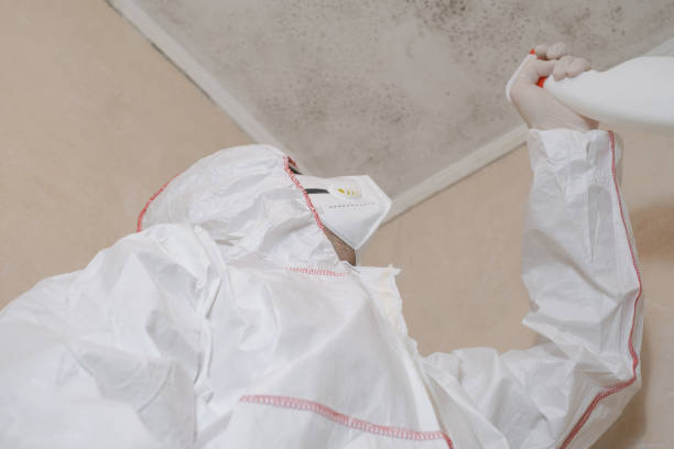 Mold Removal and Inspection in Fox Lake Hills, IL