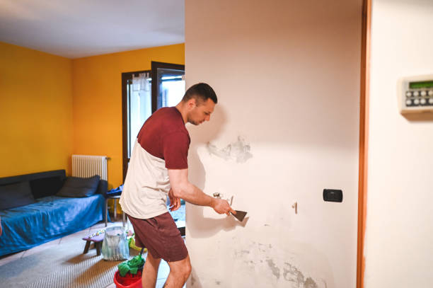 Best Toxic Mold Removal  in Fox Lake Hls, IL